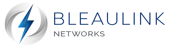 _LOGO - BLEAULINK NETWORKS - V1-21