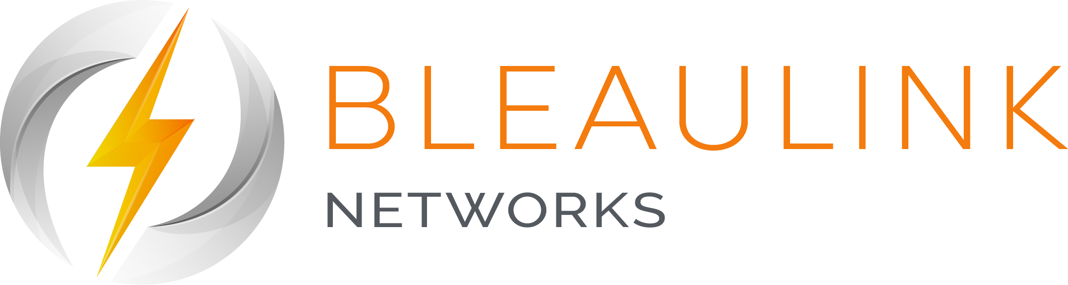 LOGO BLEAULINK NETWORKS